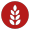 Gluten
