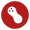 Peanuts